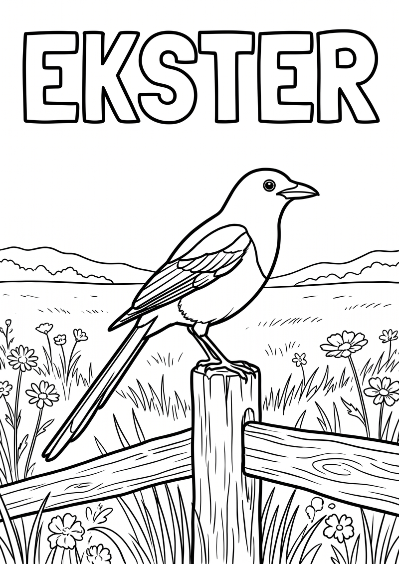 Ekster Kleurplaat — gratis kleurplaat