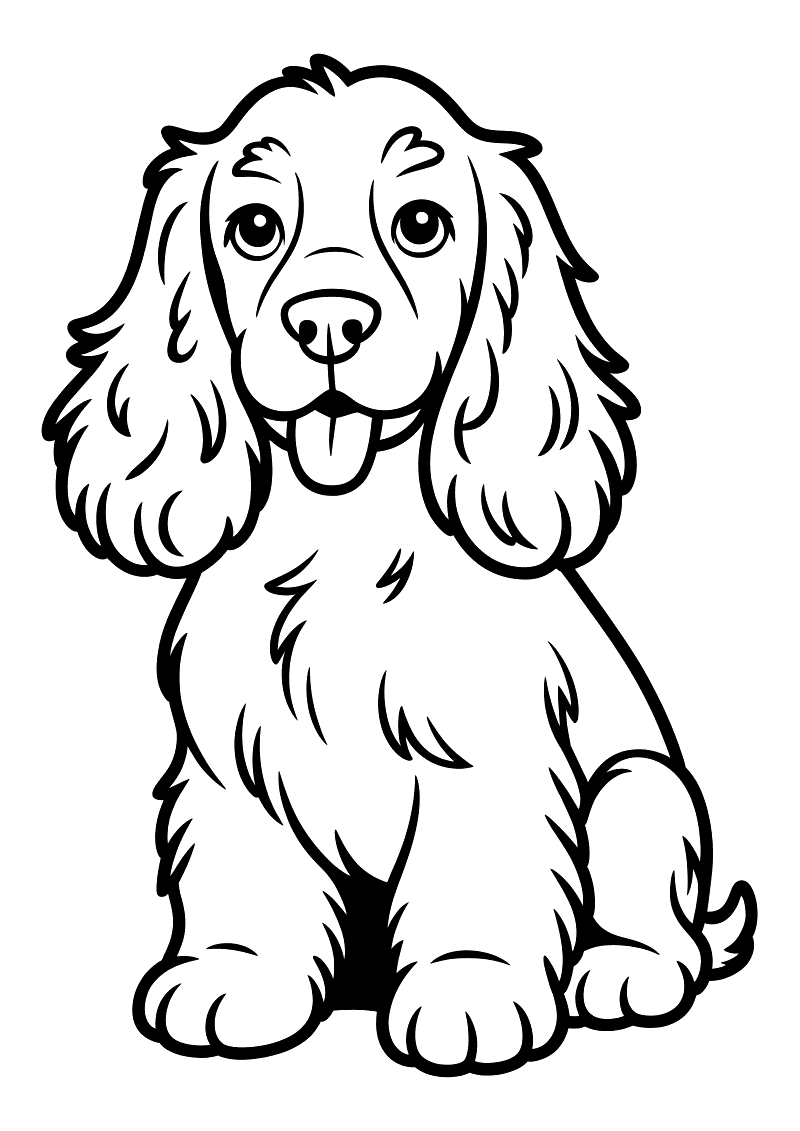 Kleurplaat van een zittende Engelse Cocker Spaniel met lange golvende oren, een dikke vacht en zijn tong uit zijn bek
