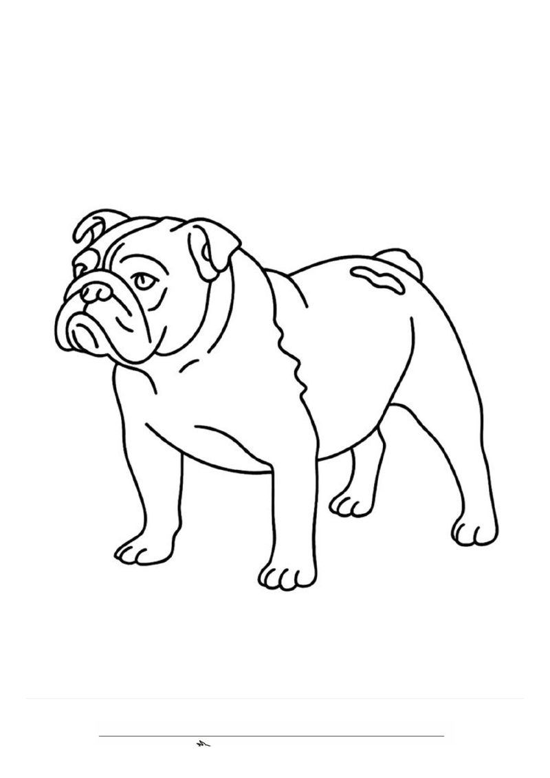 Engelse buldog Kleurplaat — gratis kleurplaat printen