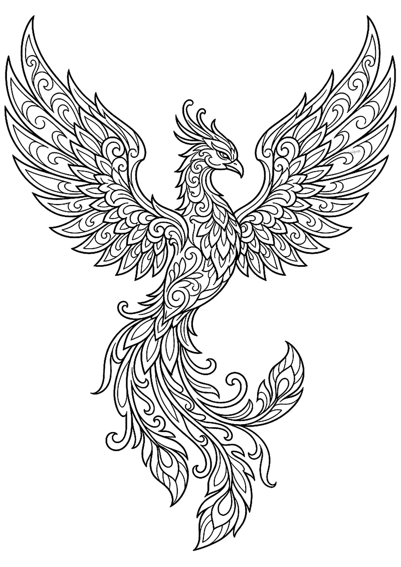 Opstijgende feniks met gespreide vleugels en sierlijke staartveren, tattoo-flash lijntekening
