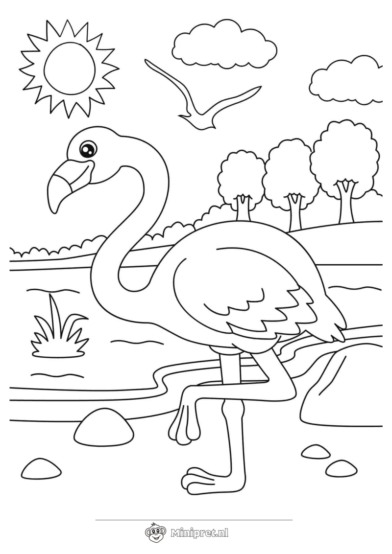 Flamingo in de Jungle kleurplaat