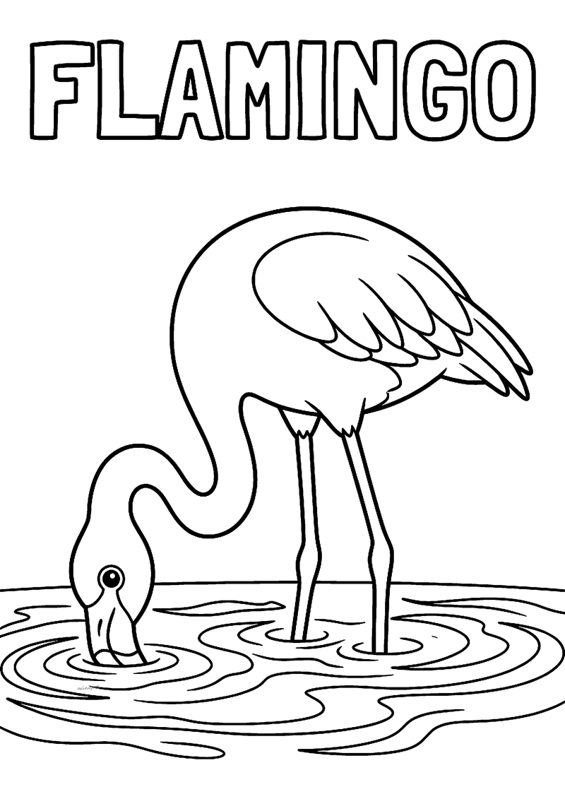 Kleurplaat van een flamingo die met lange poten in het water staat en zijn kop onder water steekt, met FLAMINGO erboven