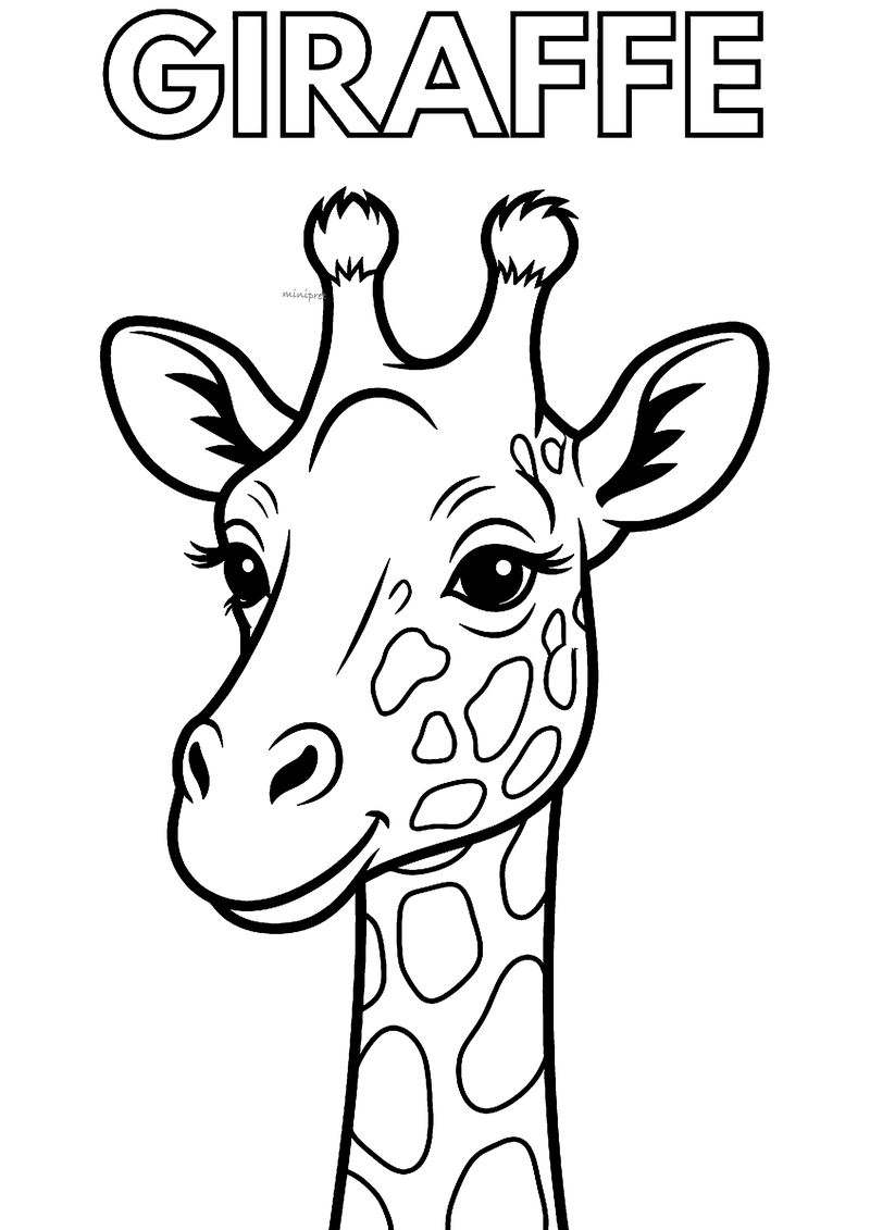 Kleurplaat van een lachende giraffekop van dichtbij met twee pluizige hoorntjes, grote oren en vlekken op de nek
