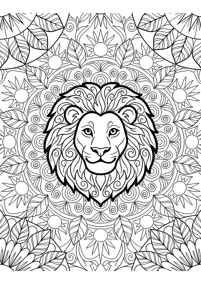 Groep 8 mandala kleurplaat — gratis kleurplaat