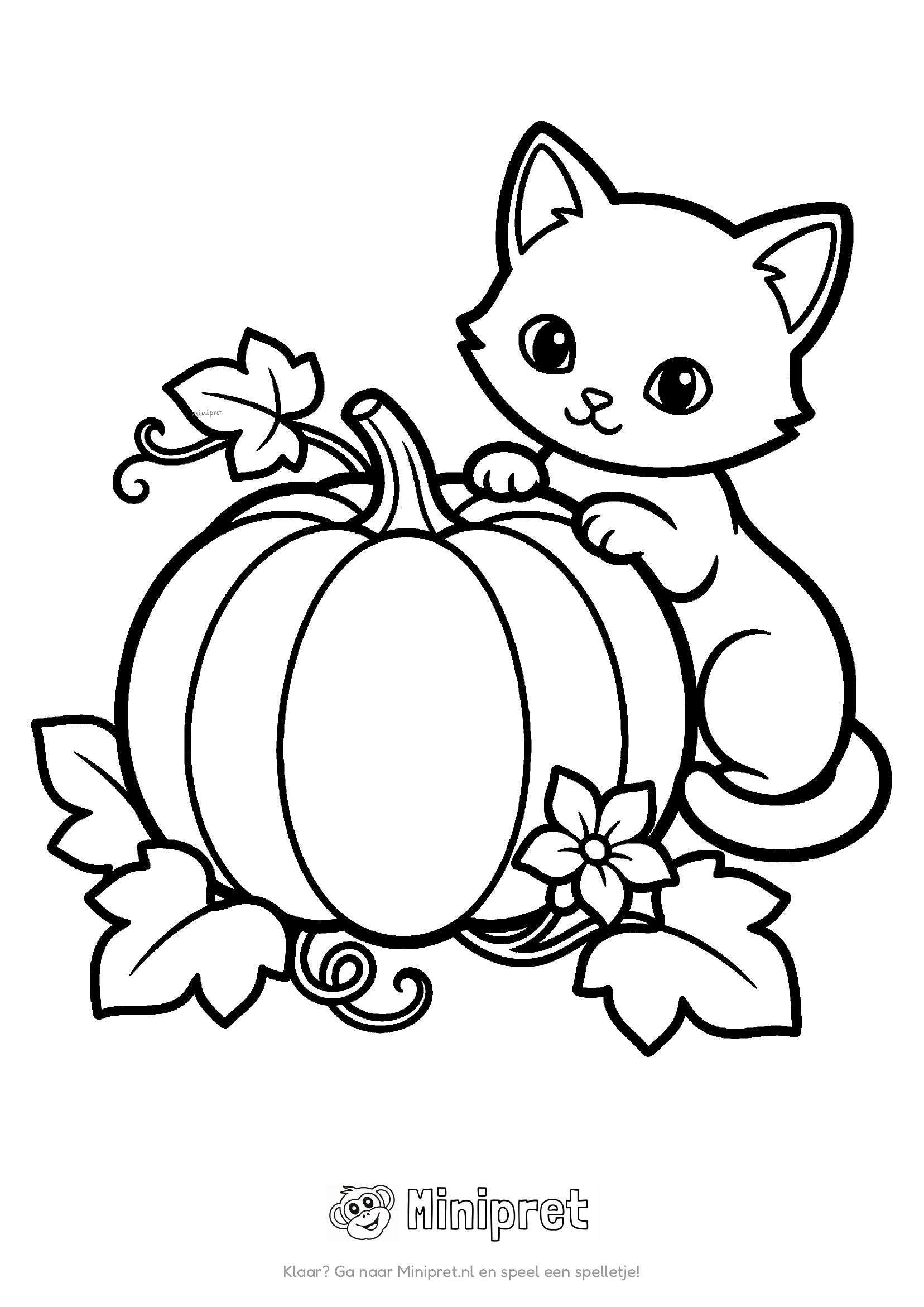 Halloween kat en pompoen kleurplaat — zwarte kat zit naast een grote lachende lampionpompoen