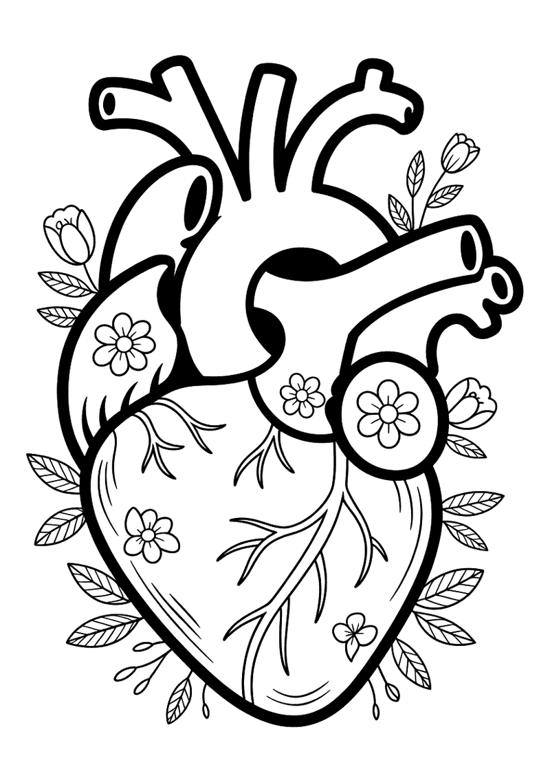 Hart Anatomisch Bloemen Kleurplaat