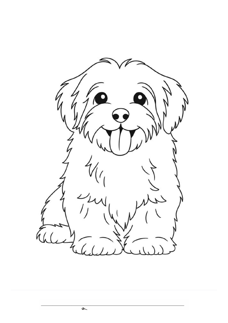 Havanezer Kleurplaat — gratis kleurplaat