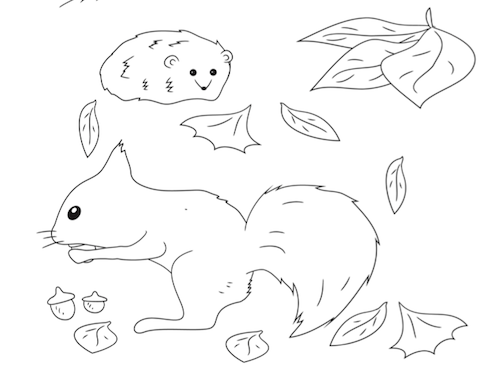 Herfstdieren Kleurplaat — gratis kleurplaat printen