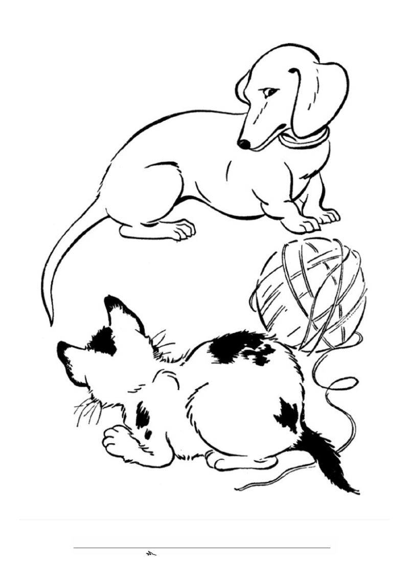 Hond en poes Kleurplaat — gratis kleurplaat