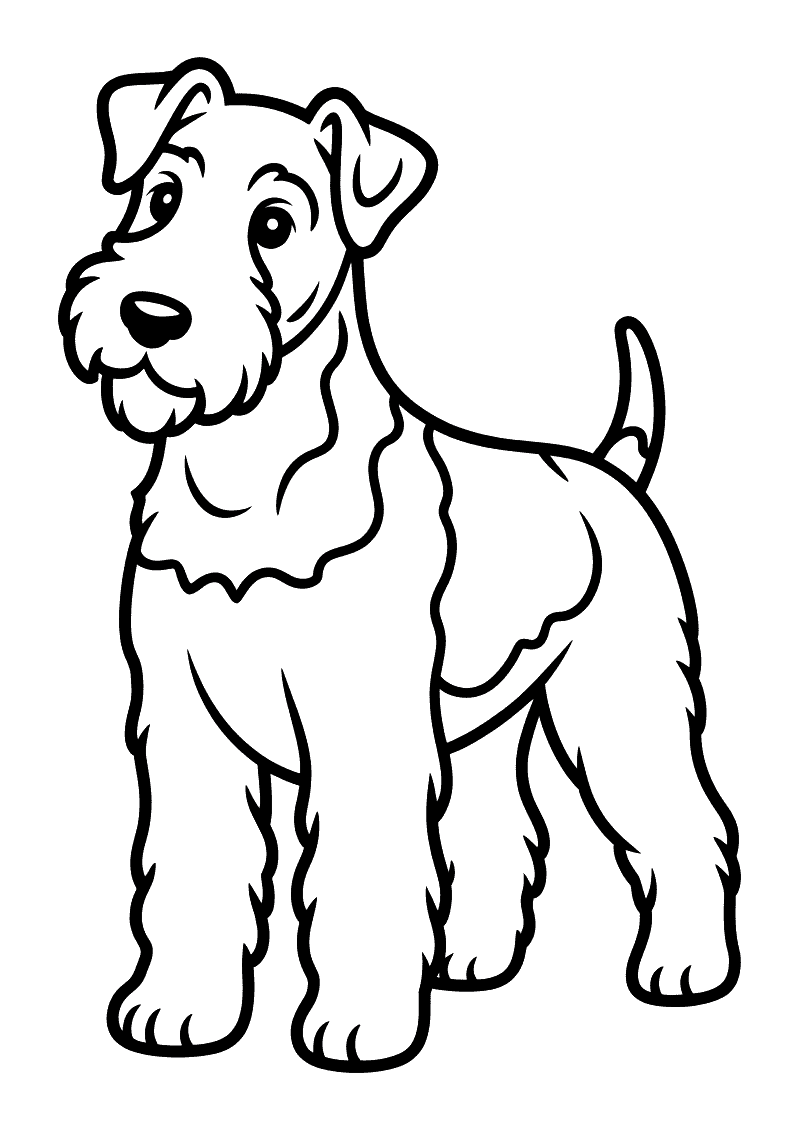 Kleurplaat van een Airedale Terrier die stevig en zelfverzekerd staat met een ruige vacht, brede borst en staart omhoog,