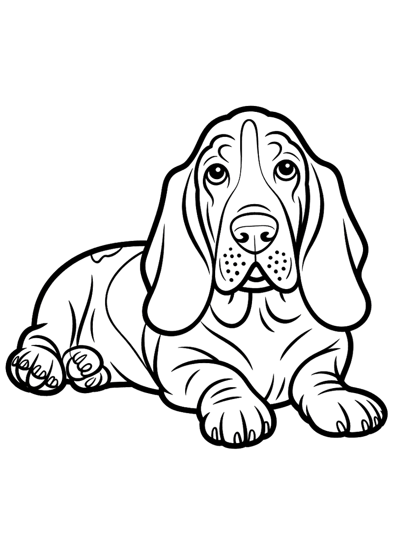 Kleurplaat van een basset hound die plat op de grond ligt met uitgestrekte voorpoten, grote hangende oren aan weerszijde