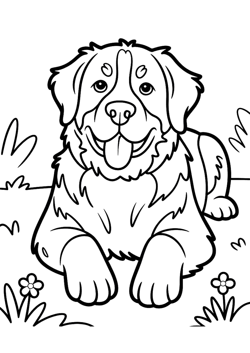 Kleurplaat van een Berner Sennenhond die ontspannen in het gras zit met kleine bloemen aan weerszijden, tong uit de mond
