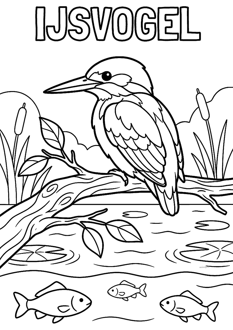 Kleurplaat van een ijsvogel met lange snavel op een tak boven een vijver met vissen, waterlelies en riet
