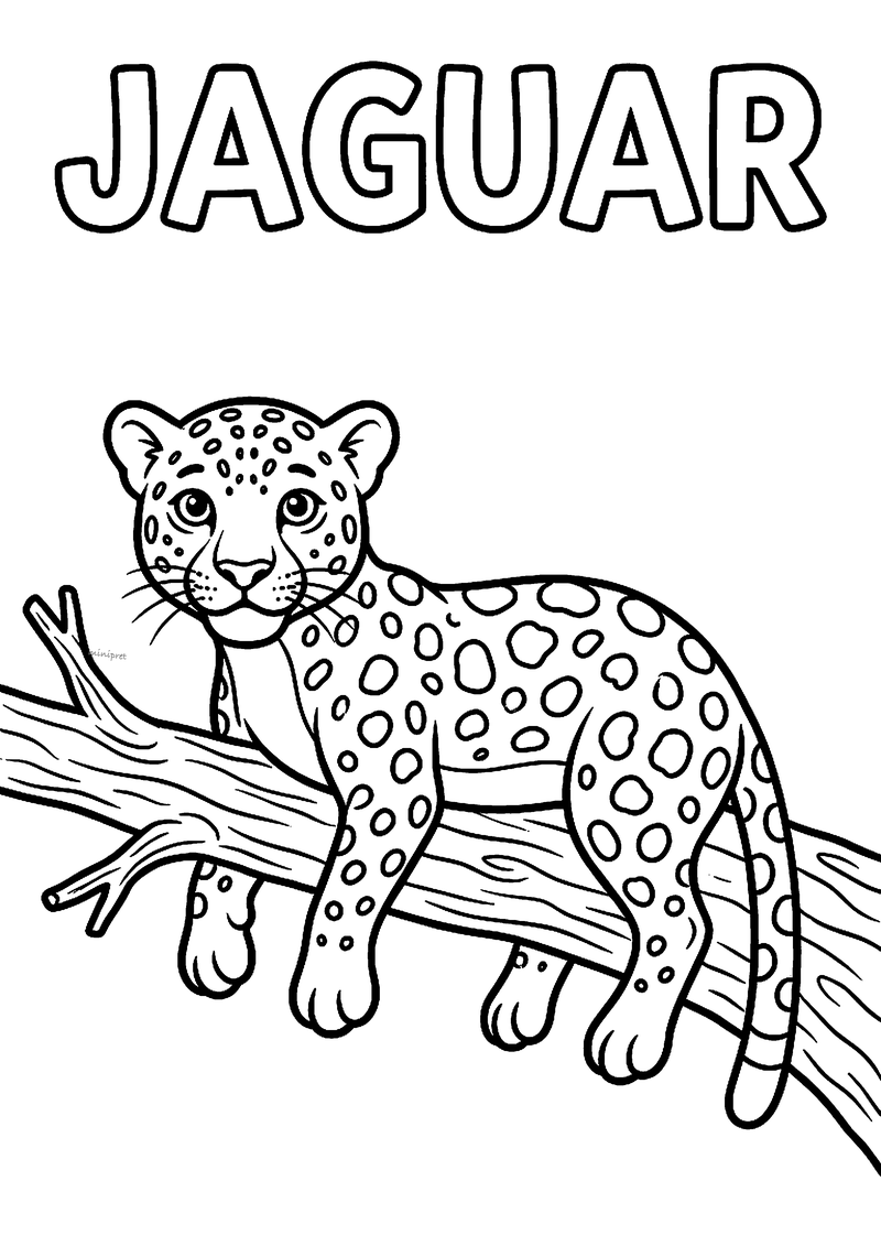 Kleurplaat van een gevlekte jaguar die ontspannen op een dikke boomtak ligt met zijn poten omlaag, met JAGUAR erboven