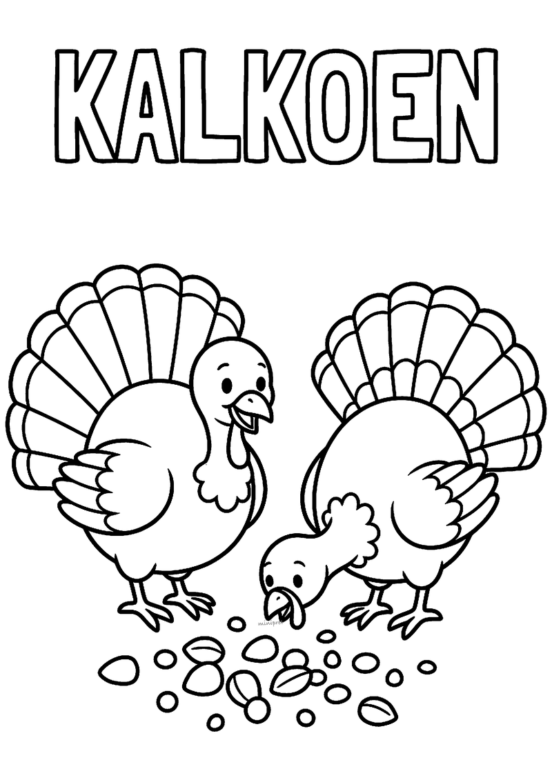 Kleurplaat van twee kalkoenen met een grote staartwaaier, waarvan één graan pikt van de grond, onder het woord KALKOEN