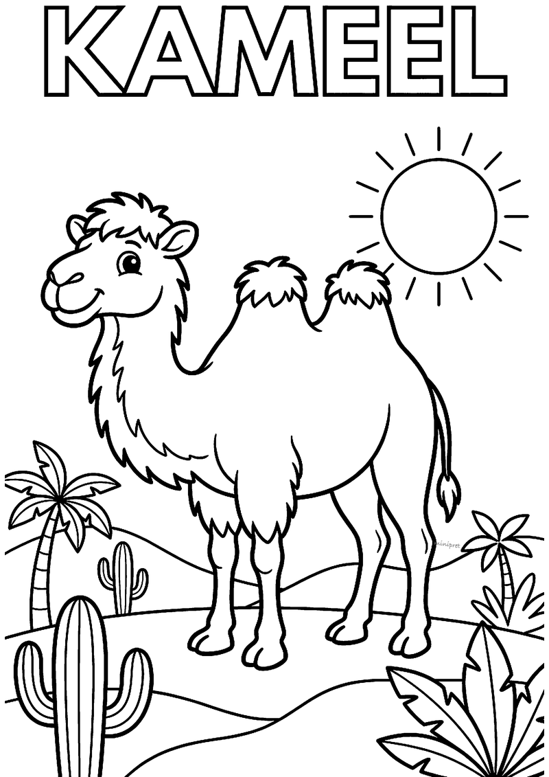 Kleurplaat van een lachende kameel met twee harige bulten in de woestijn, met cactussen, palmbomen en een felle zon