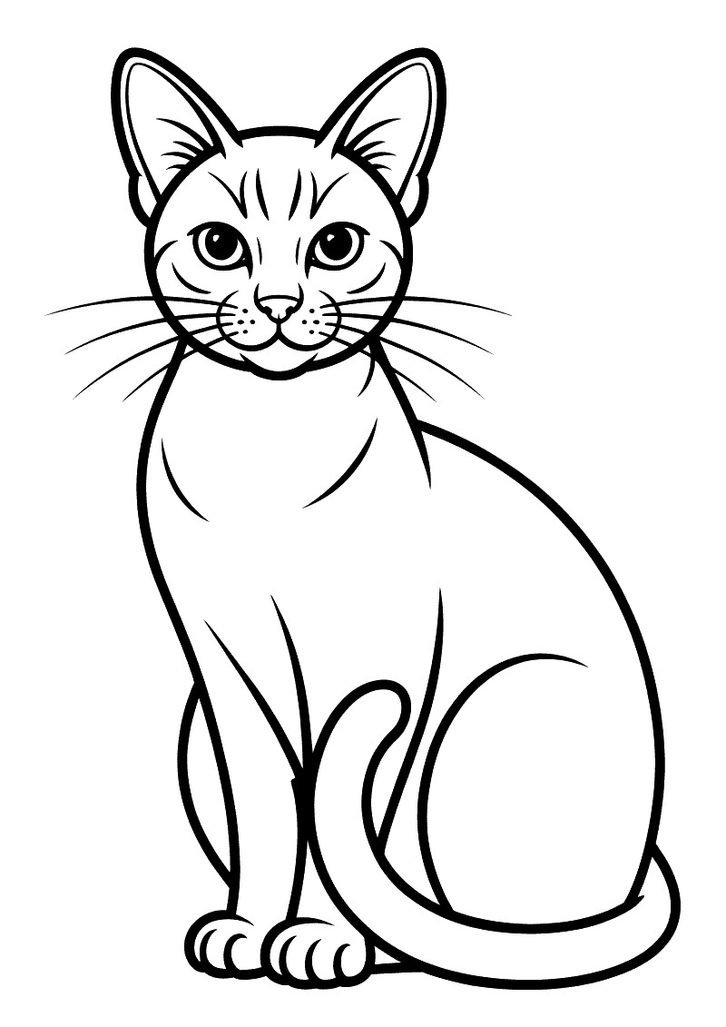 Kleurplaat van een elegante siamese kat die rechtop zit met zijn kenmerkende slanke lichaam en puntige oren