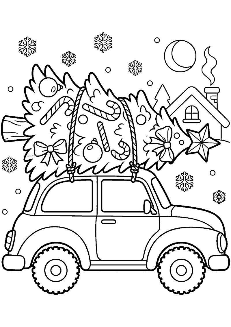 Kerstboom met ster en zuurstokjes op dak van auto vastgebonden met touwen.