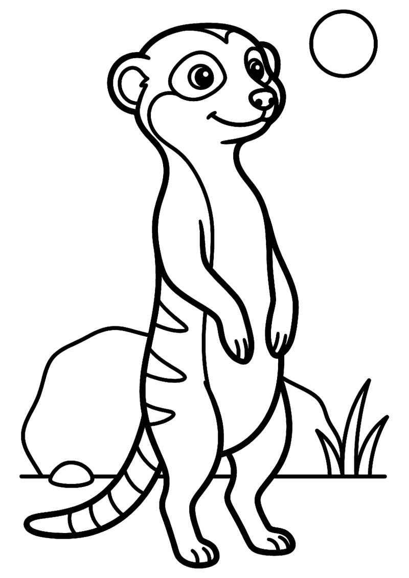 Kijkend stokstaartje kleurplaat — gratis kleurplaat