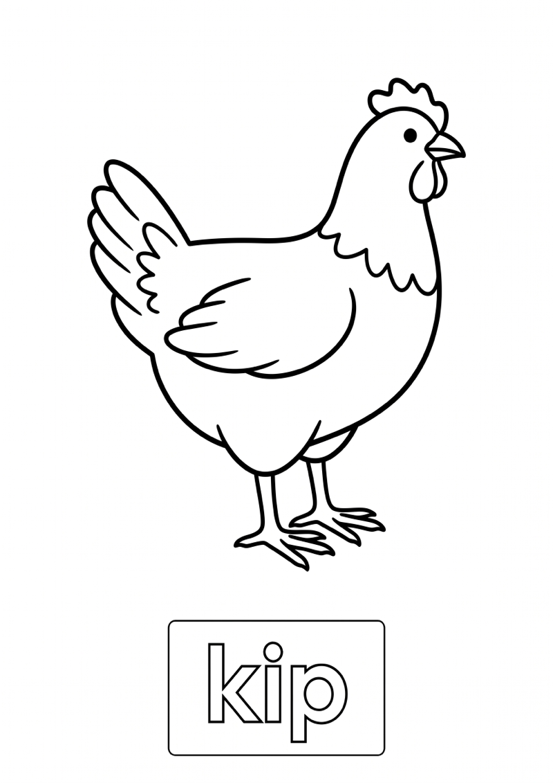 Kip Woordkaart Kleurplaat — gratis kleurplaat