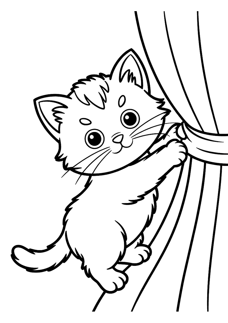 Kleurplaat van een pluizig kitten dat zich met pootjes en nageltjes vasthoudt aan een lang gegolfd stofgordijn.