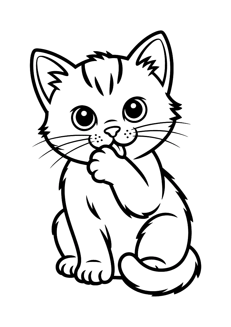 Kleurplaat van een pluizig kitten dat zit en zijn voorpoot omhoog houdt om hem met de tong schoon te likken.
