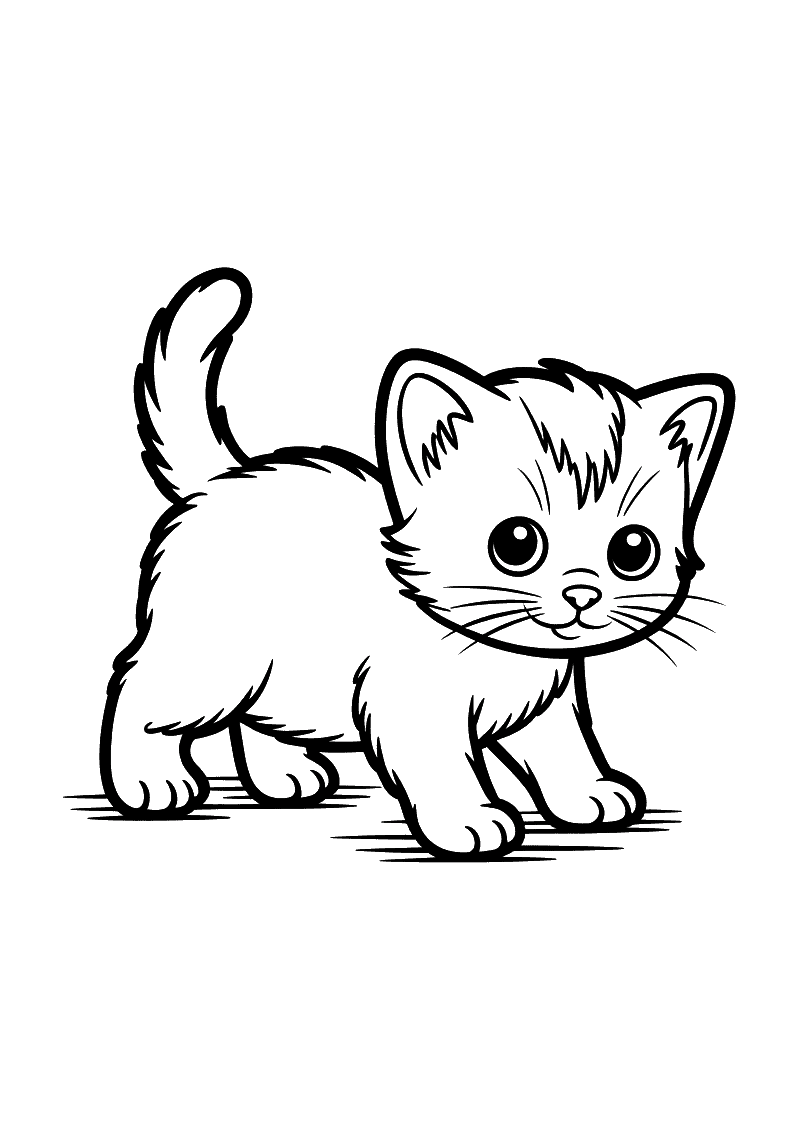 Kleurplaat van een heel klein pluizig kitten in zijaanzicht dat zijn eerste voorzichtige stapjes zet met opgeheven staar