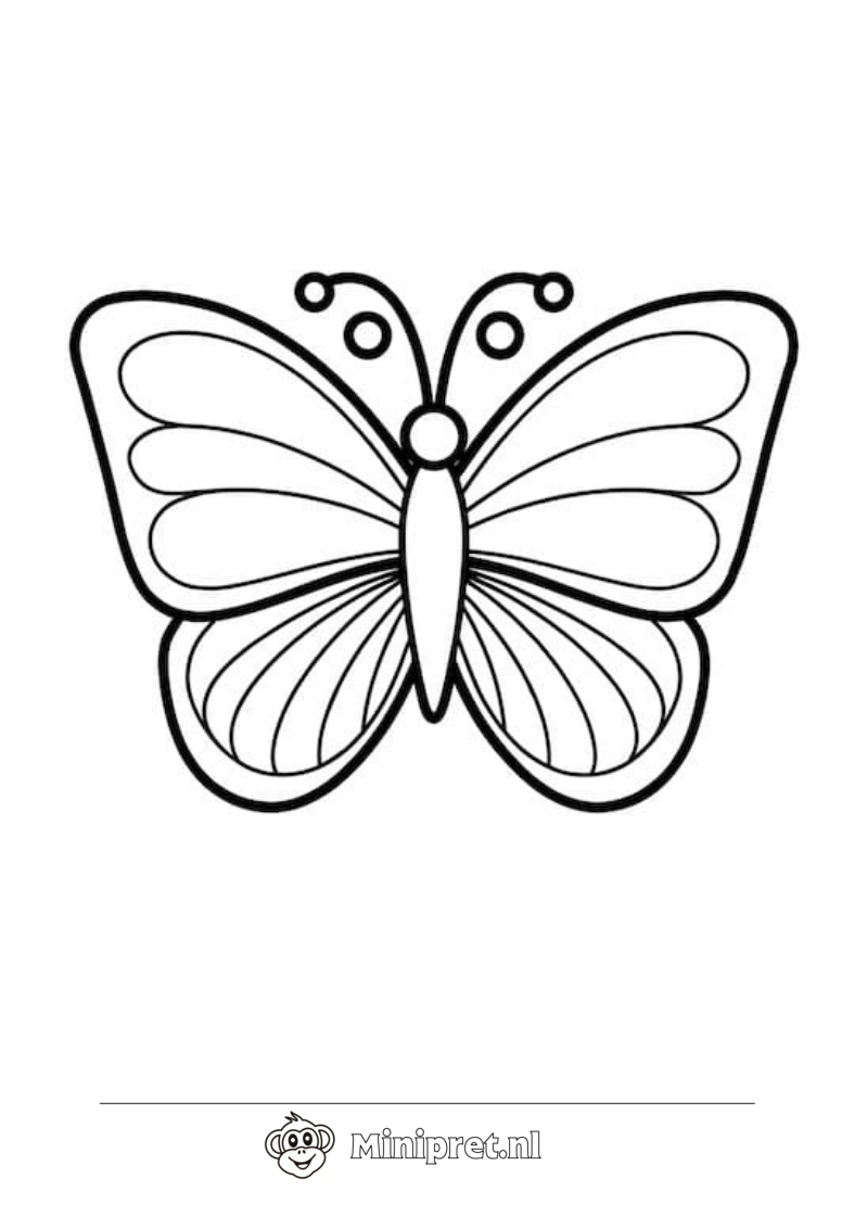 Kleurrijke Vlinder kleurplaat — gratis kleurplaat