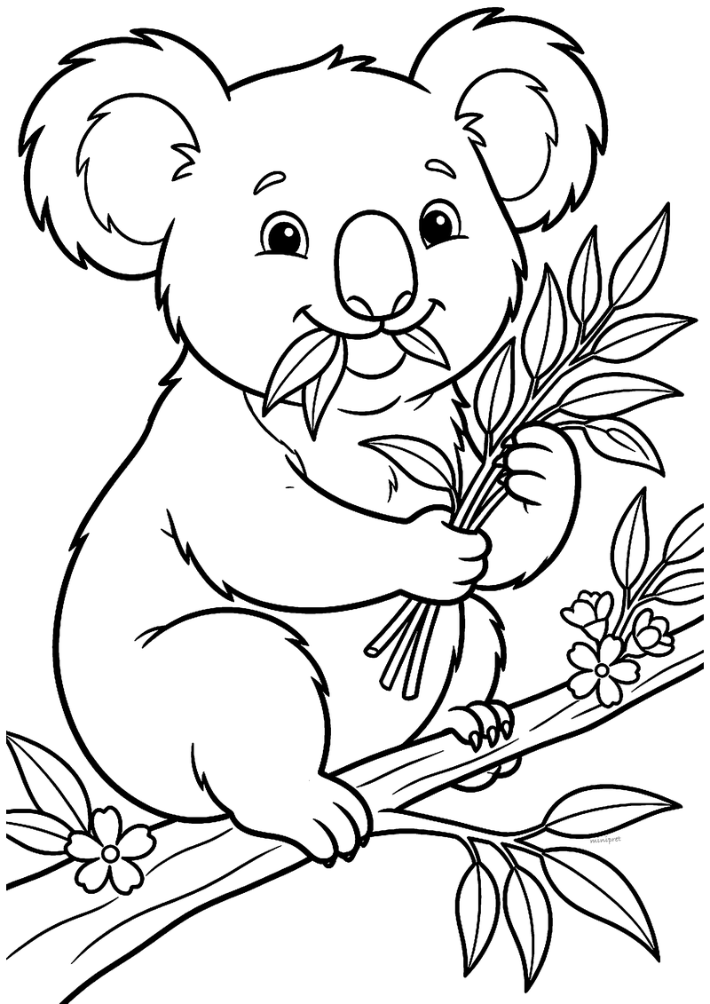 Kleurplaat van een tevreden koala op een tak die een bosje eucalyptusblaadjes vasthoudt en ervan eet, met bloemetjes