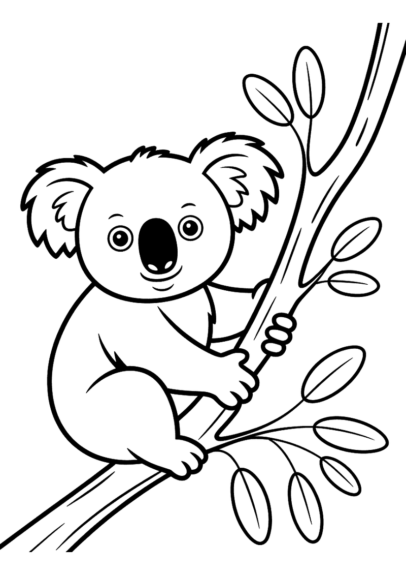 Kleurplaat van een koala die met beide armen en benen een eucalyptustak vasthoudt en naar voren kijkt