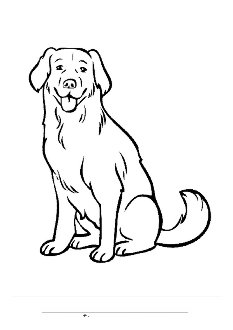 Labrador hond Kleurplaat — gratis kleurplaat