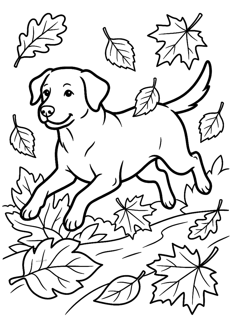 Kleurplaat van een blije labrador die met zijn voorpoten vooruit door een pad vol vallende herfstbladeren springt
