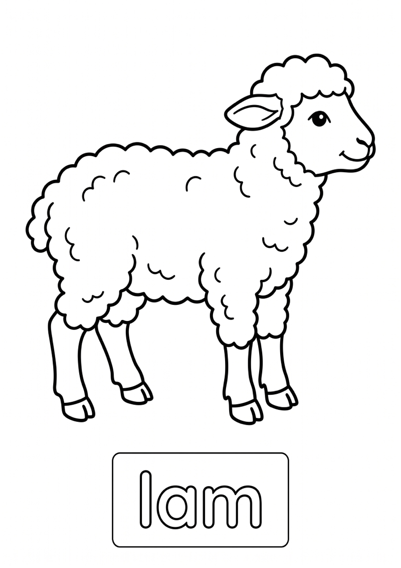Lam Woordkaart Kleurplaat — gratis kleurplaat
