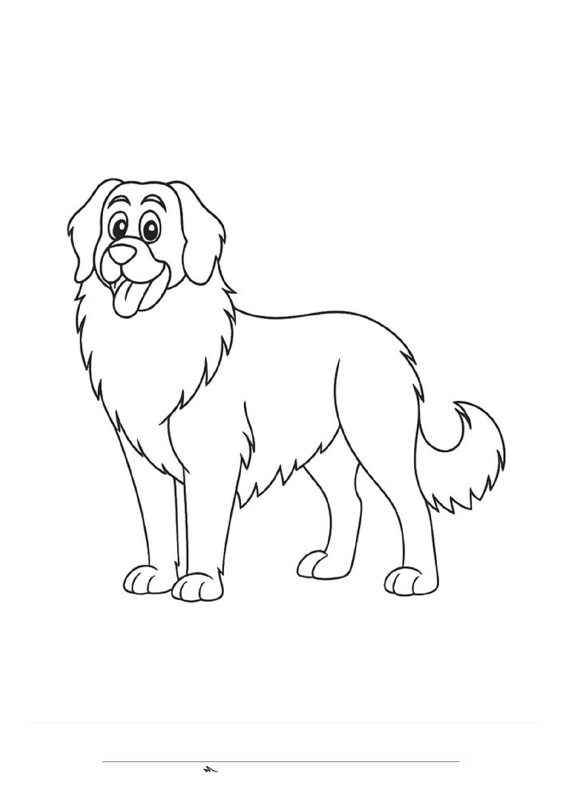 Leonberger Kleurplaat — gratis kleurplaat