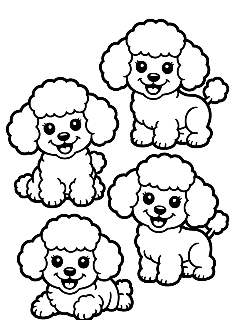 Kleurplaat met vier miniatuur poedel puppies in verschillende poses: zittend, liggend en opkijkend, allemaal met krullen