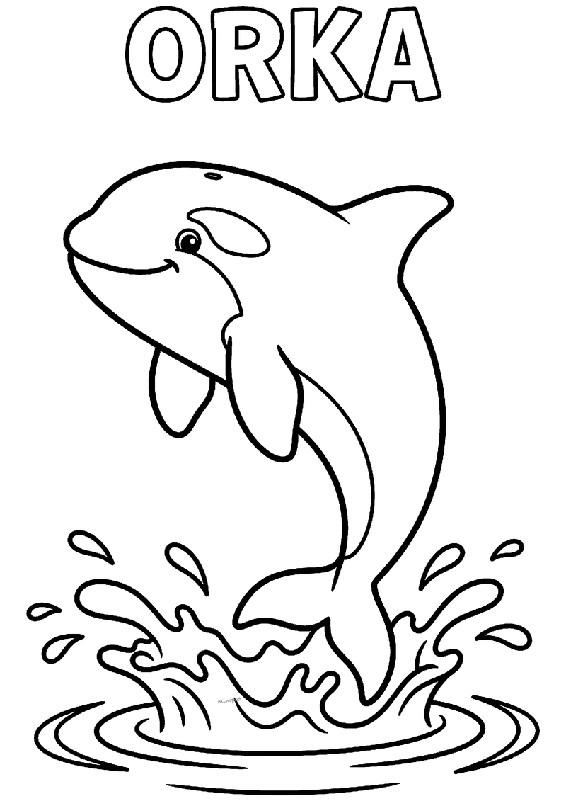 Kleurplaat van een lachende orka die hoog uit het water springt met een grote plons, met ORKA erboven
