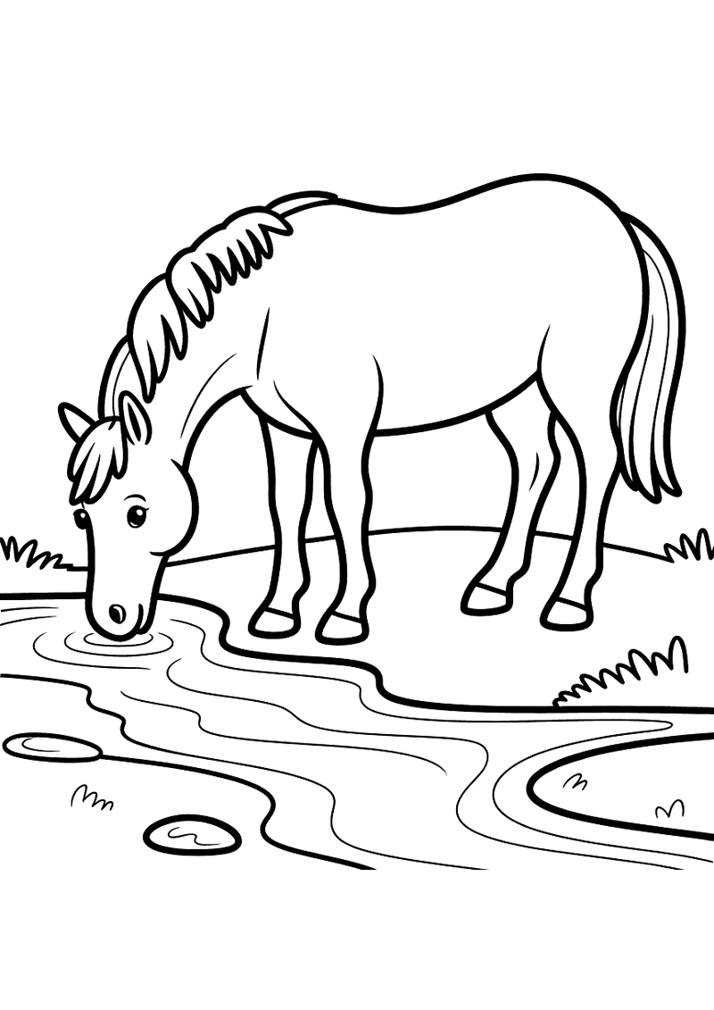 Kleurplaat van een paard dat zijn hoofd buigt en rustig drinkt uit een ondiepe beek met waterplanten aan de rand