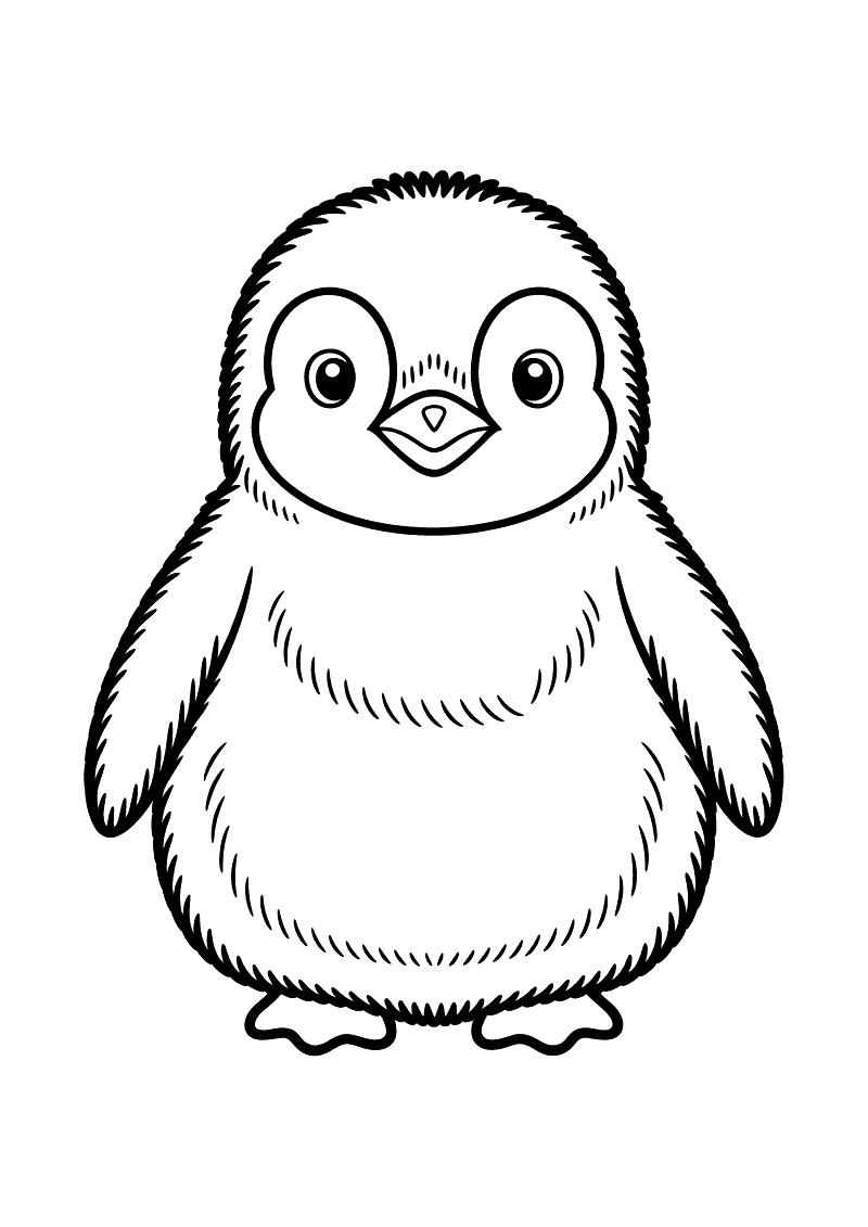 Kleurplaat van een pluizig pinguinkuiken met donzige veertjes over zijn gehele ronde lichaam en grote lieve ogen