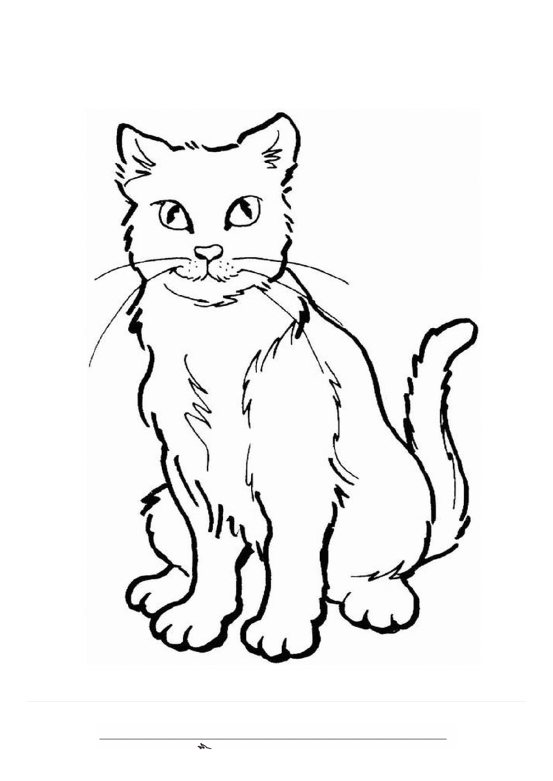 Poes Langhaar Zittend Kleurplaat — gratis kleurplaat printen