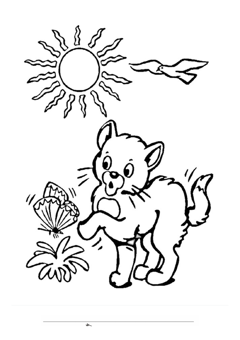 Poes speelt met vlinder Kleurplaat — gratis kleurplaat