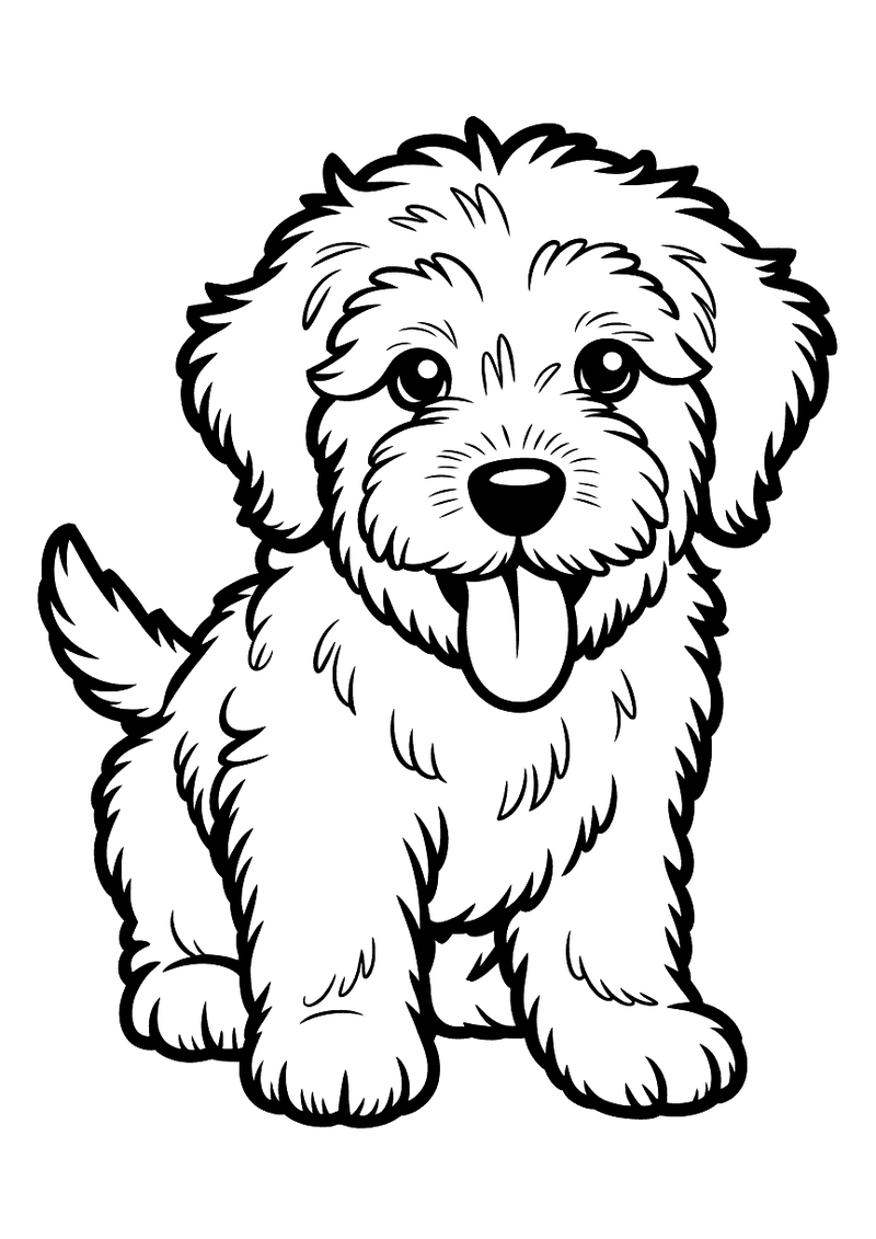 Kleurplaat van een schattige labradoodle puppy met krullende vacht die recht vooruit kijkt