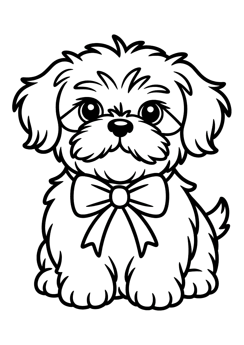 Kleurplaat van een zittende Shih Tzu puppy met een grote strik om zijn nek en een lange pluizige vacht rondom zijn gezic