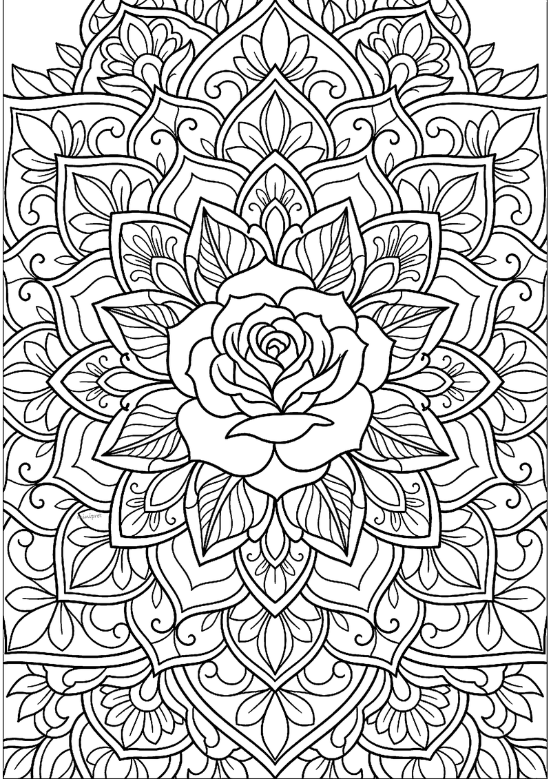 Open roos in het hart van een symmetrische bloemen-mandala, tattoo-flash lijntekening