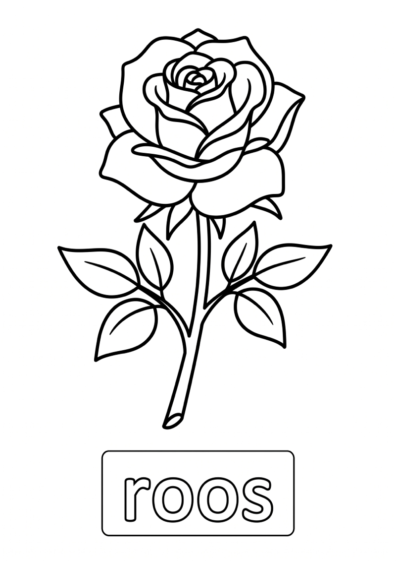 Roos Woordkaart Kleurplaat — gratis kleurplaat