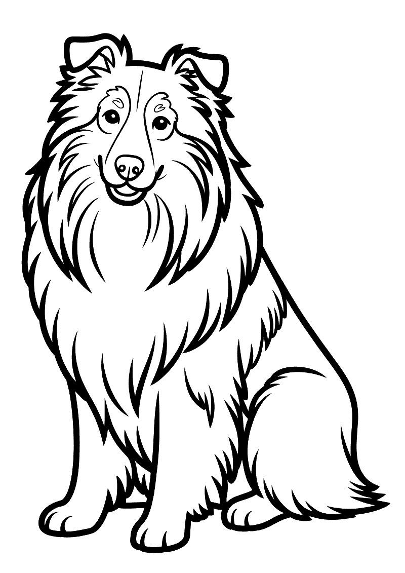 Kleurplaat van een statige ruwe collie met lange golvendе vacht die rechtop staat