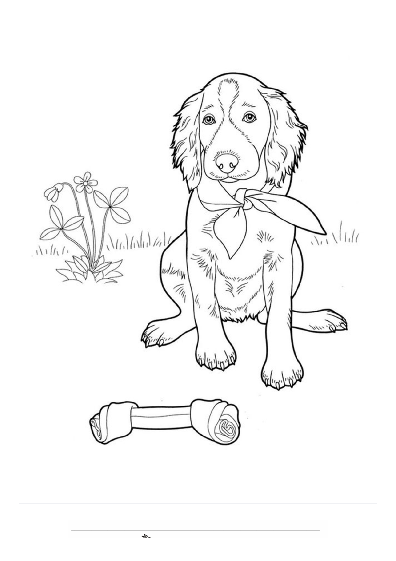 Schattige hond Kleurplaat — gratis kleurplaat