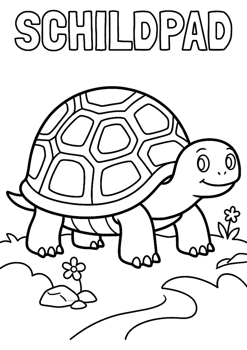 Landschildpad kleurplaat