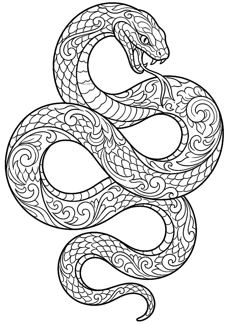 Gestileerde slang in golvende S-vorm met fijne schubben en krullen, tattoo-flash lijntekening