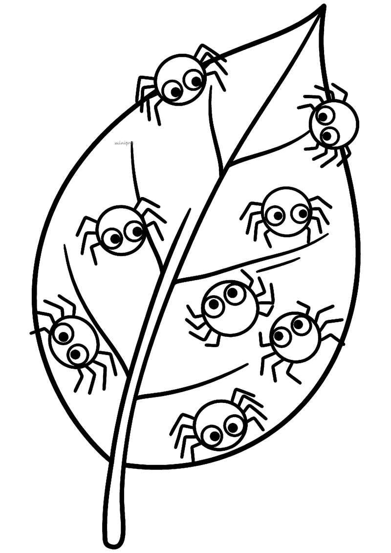 Kleurplaat van een groot blad met nerven waarop acht kleine ronde spinnetjes met grote oogjes rondkruipen
