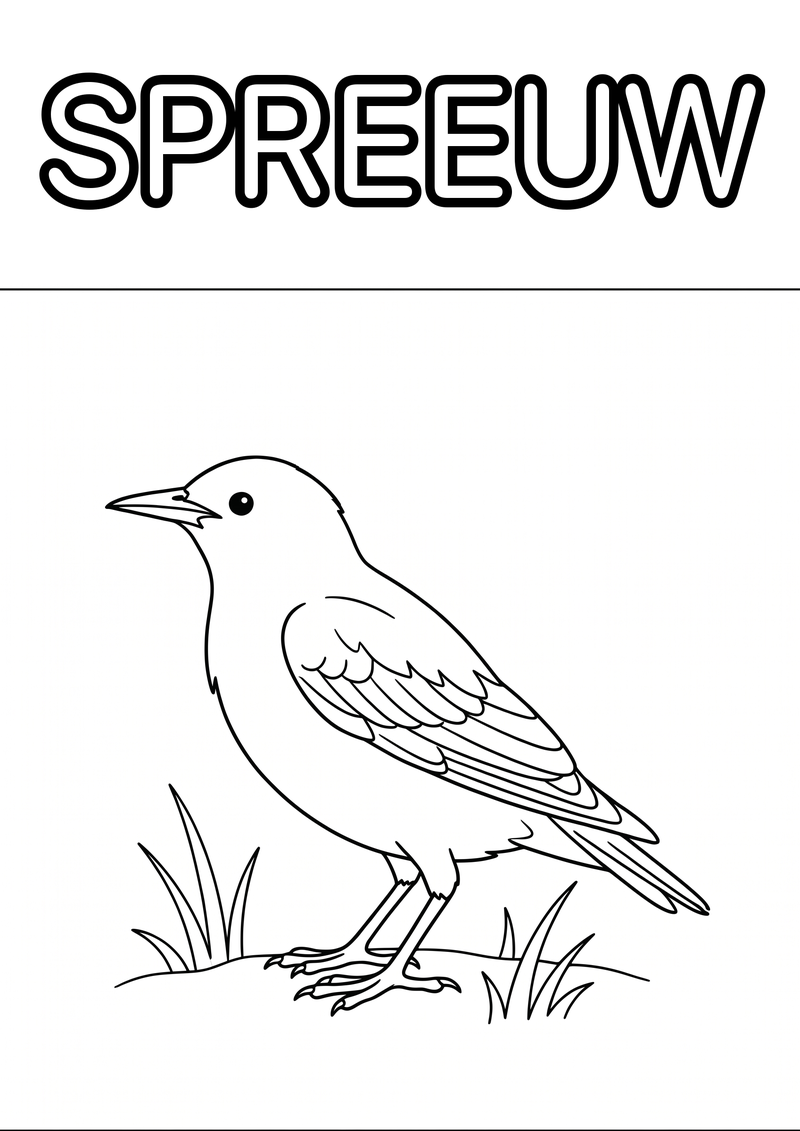 Spreeuw Kleurplaat — gratis kleurplaat printen